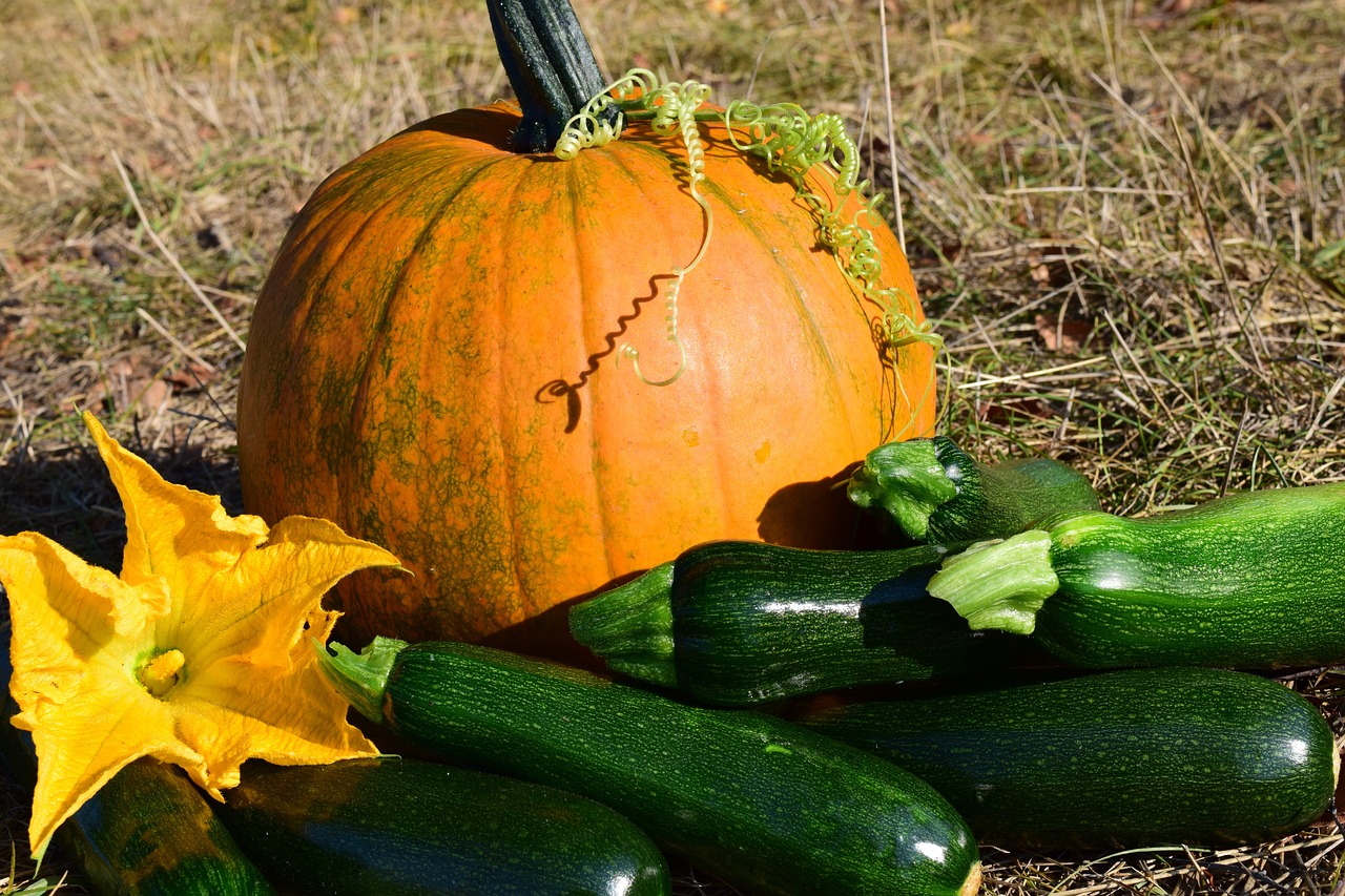 The Best Way to Cook and Serve Zucchini